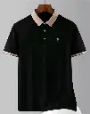 1750912234872.webp